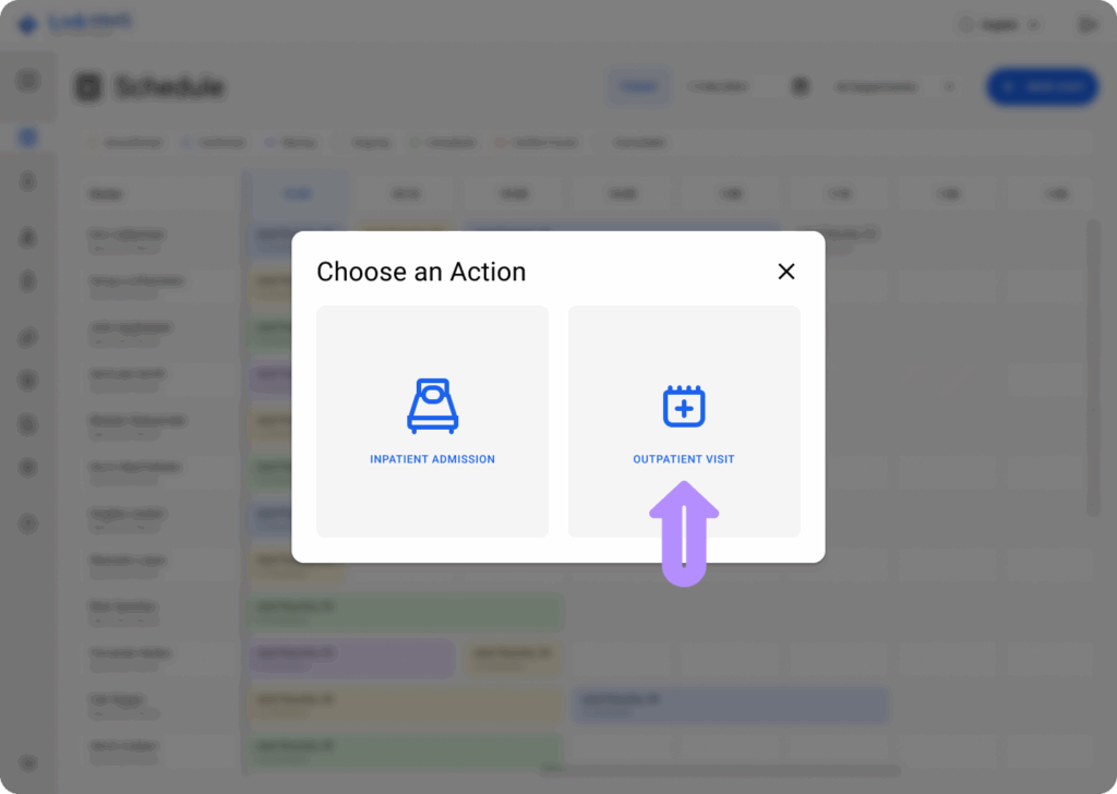 LinkHMS visit invoice 2